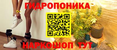 соль ск Будённовск